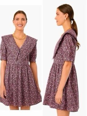 Tuckernuck XXL Hyacinth House Sadie Floral Victorian collar Mini Dress
